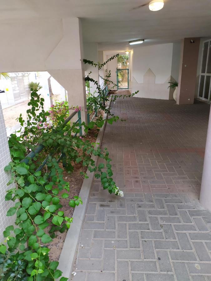 Nelly's Housing Unit